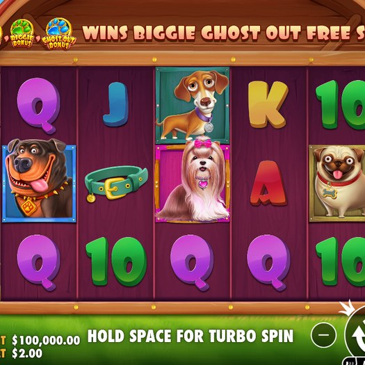 The Big Dog House